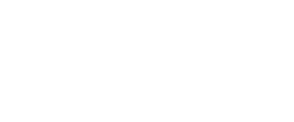 Intelicargo