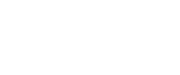 Intelicargo